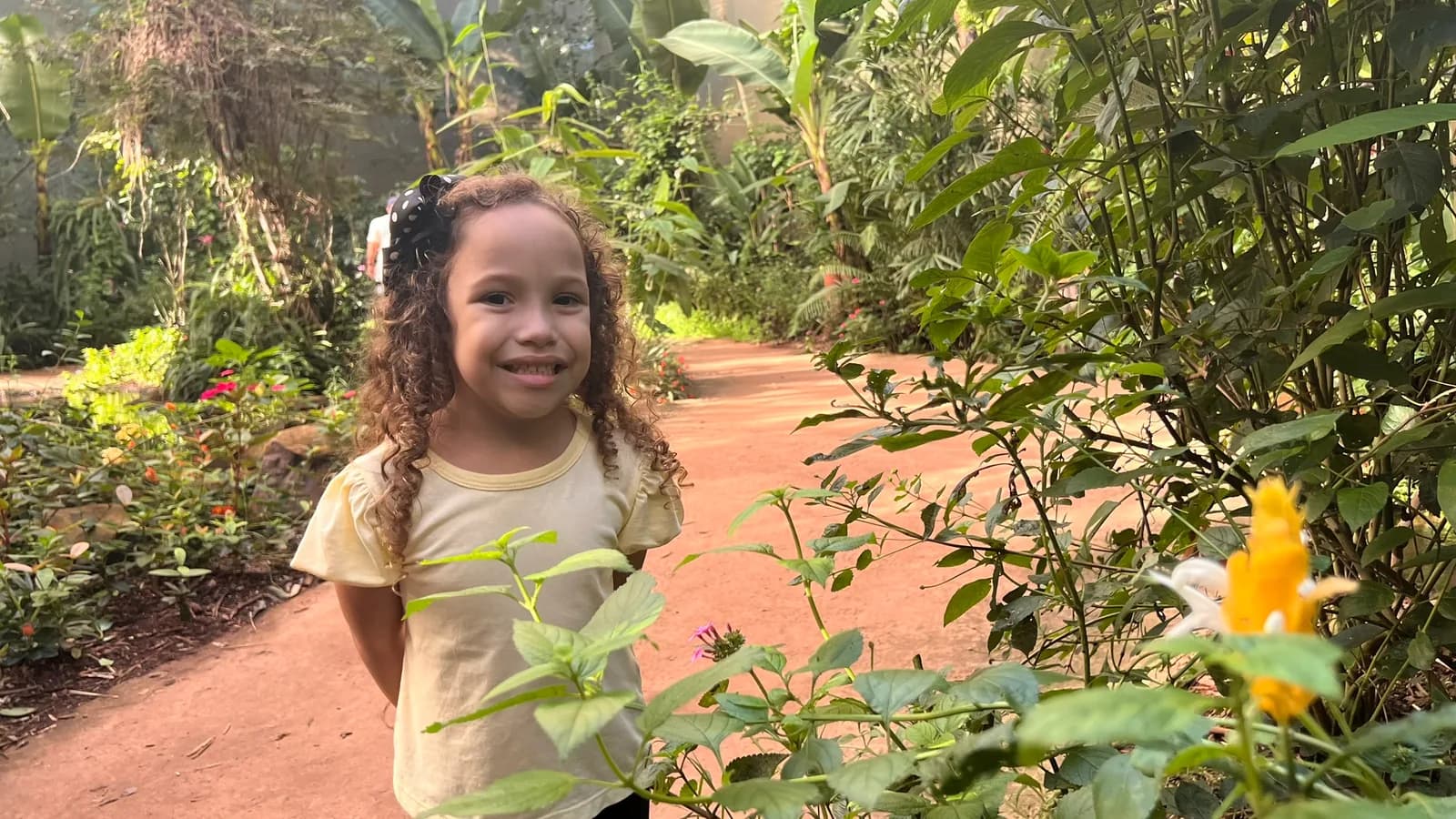 Borboletário do Parque das Aves Foz do Iguaçu — túnel imersivo com borboletas tropicais