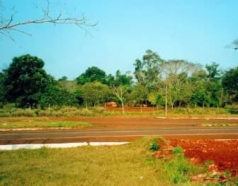 Início da construção do Parque das Aves em 1993, ao lado do Parque Nacional do Iguaçu