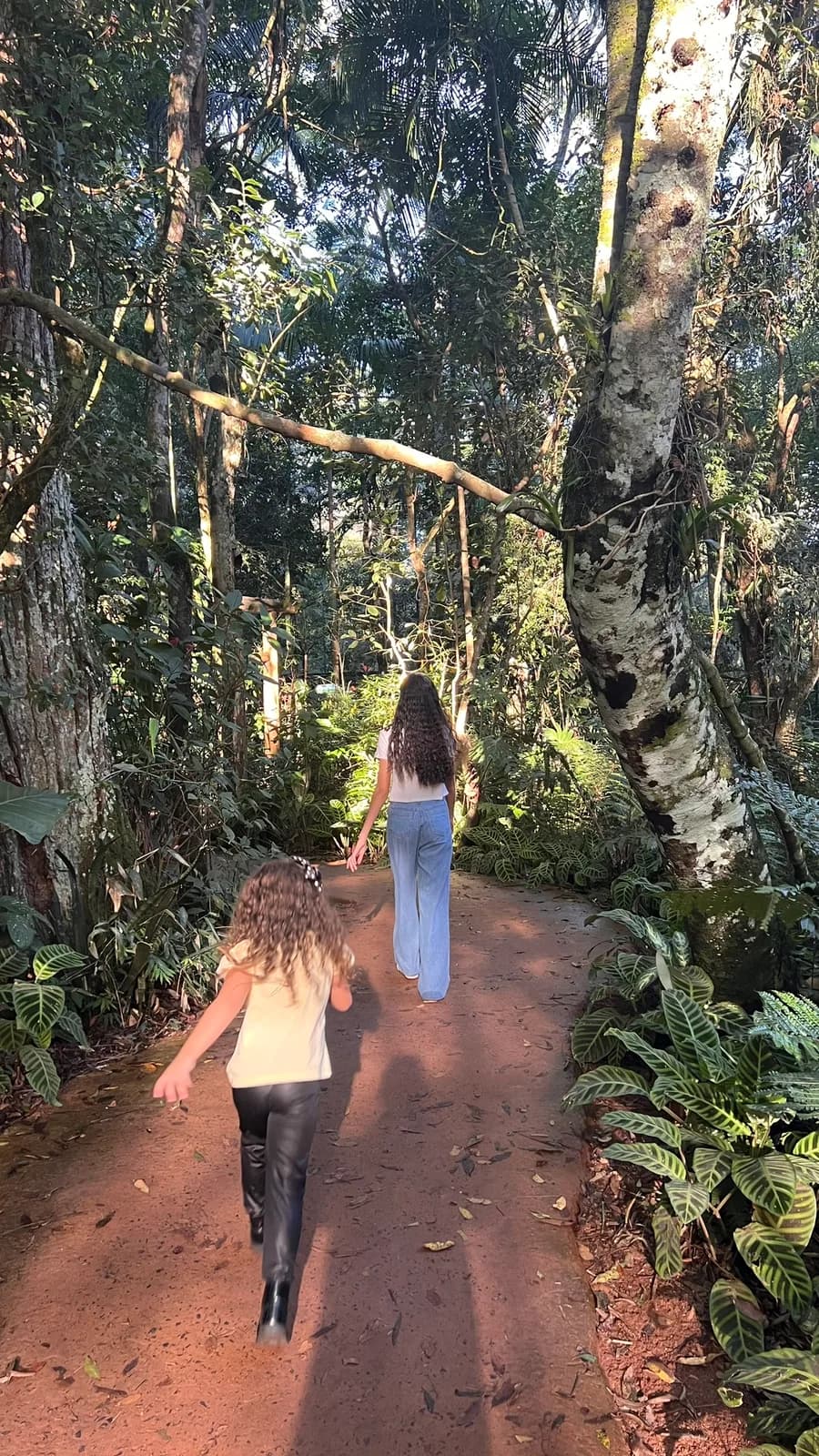 Trilha em meio à Mata Atlântica no Parque das Aves