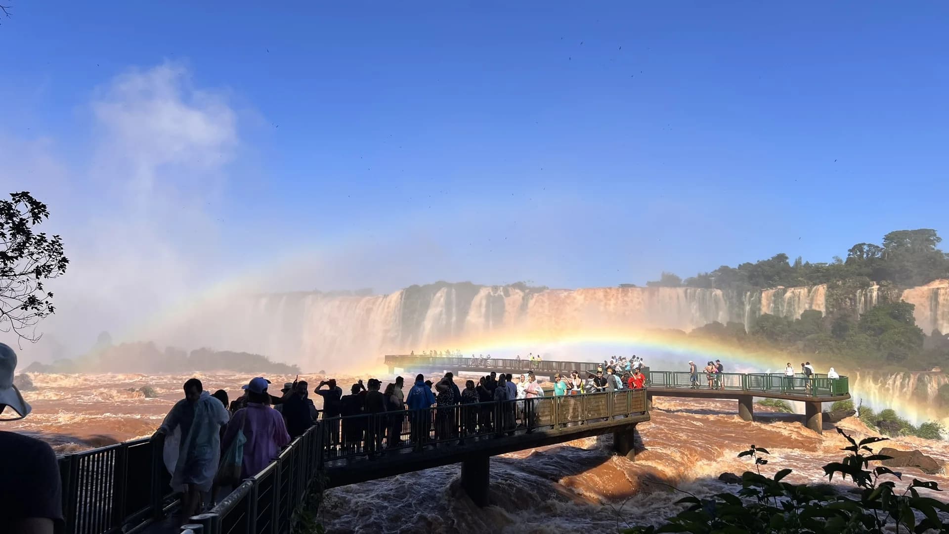 Mata Atlântica preservada ao longo da Trilha das Cataratas brasileiras