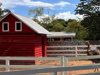 Eco Park Dreams Dreamland Foz do Iguaçu — fazendinha, falcoaria e contato com a natureza