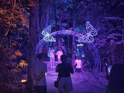 Lumina Park Wonder Park Foz do Iguaçu — trilha noturna iluminada de 800 metros na floresta encantada