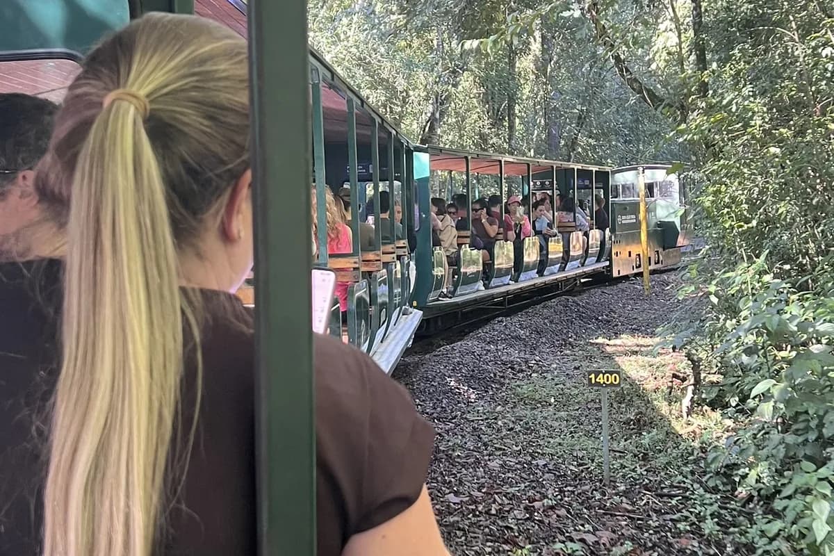 Trem Ecológico da Selva chegando à Estação Cataratas