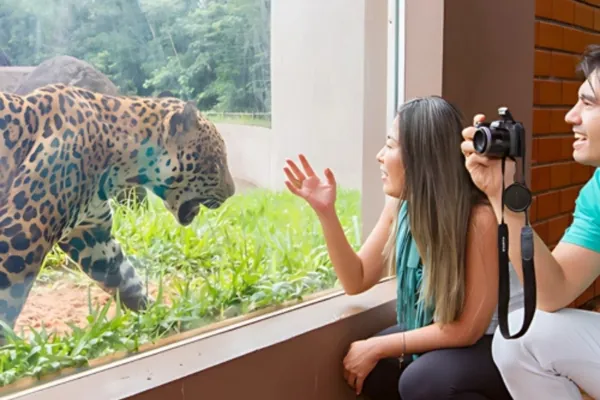 Refúgio Biológico Bela Vista em Foz do Iguaçu — enquadramento 3